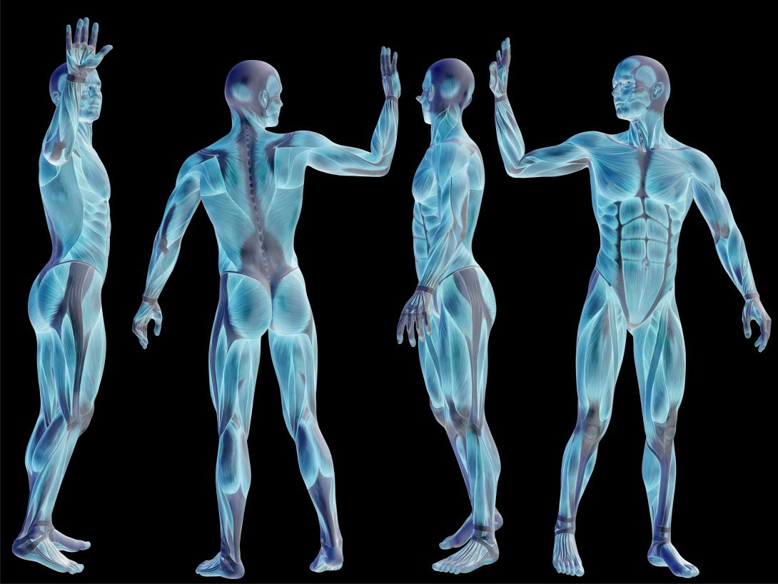 IARPA’s BRIAR program aims to integrate whole-body biometric data with facial recognition gathered via video from long distances, high altitudes and nontraditional angles. Credit: design36/Shutterstock