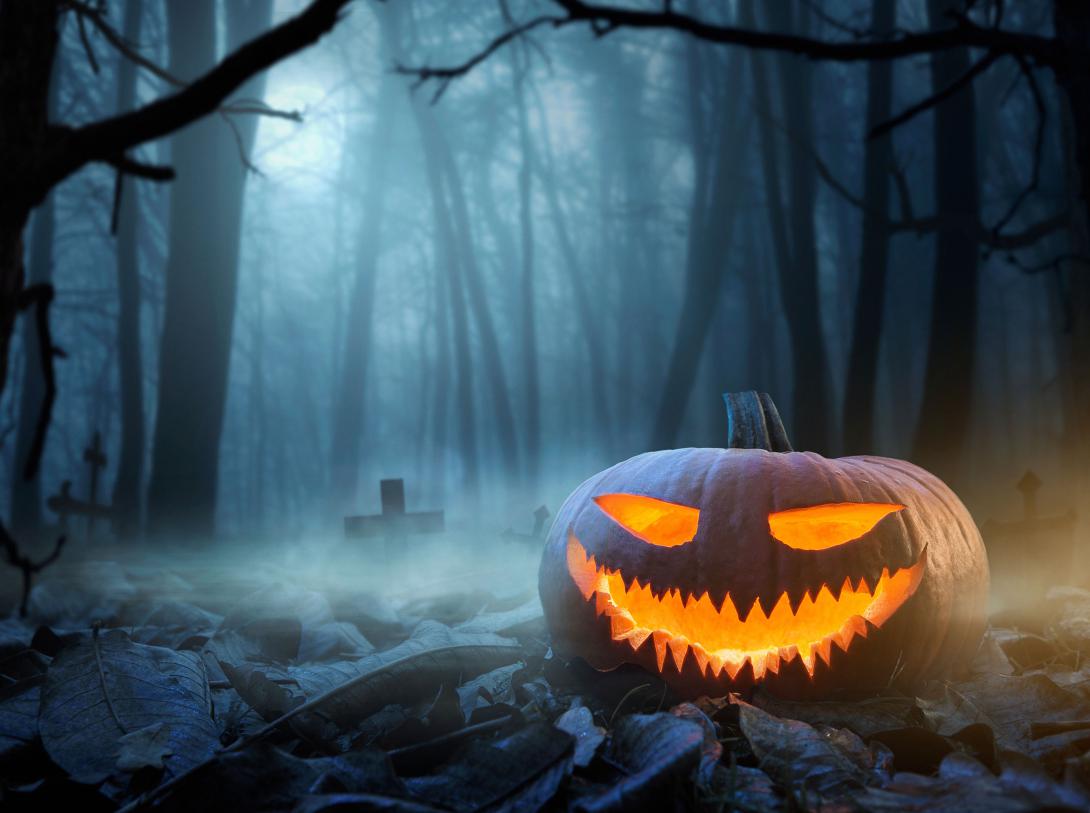 Credit: Shutterstock/rangizzz 