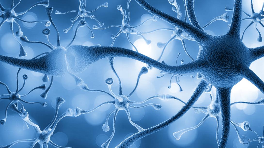 Researchers have made great progress in mapping and modeling neural pathways of brain activity, using fruit flies as a proxy, which may provide insights into the future creation of robotic actions. Credit: Billion Photos/Shutterstock