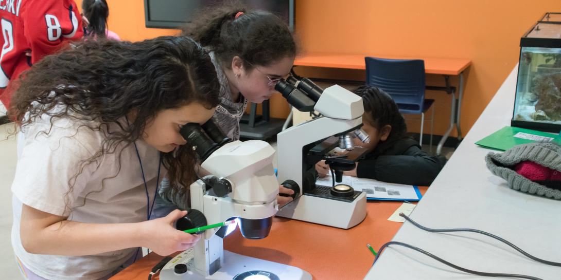 Participants of Latina SciGirls complete a hands-on activity at the Children's Science Center. Credit: Children's Science Center