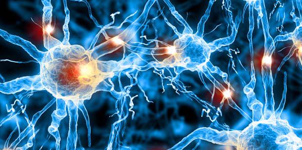 This illustration shows perceived activity in the brain, which DARPA scientists are studying to develop treatments for several ailments, including neuropsychological illness brought on by war, traumatic injuries, major depression, post-traumatic stress disorder, borderline personality disorder and general anxiety disorder, to name a few./ Photo courtesy of DARPA