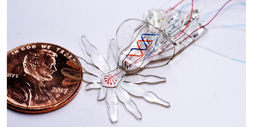 A new fabrication process enables the creation of soft robots at the millimeter scale with features on the micrometer scale as shown here with the example of a soft robotic spider with moving body parts and colored eyes and abdomens. Credit: Wyss Institute at Harvard University