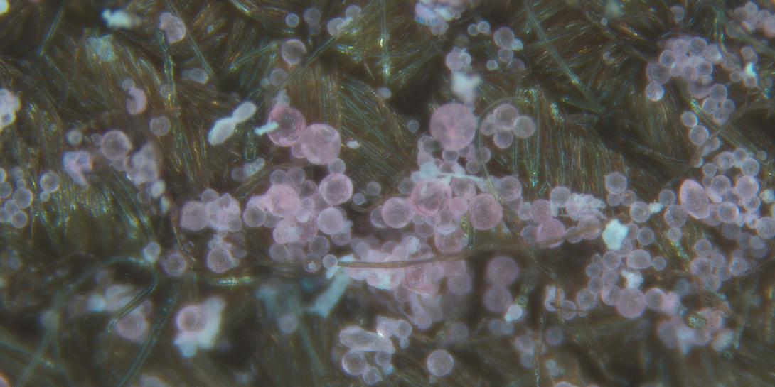Microcapsules sprayed on Army fabric would help enable chemical-biological clothing to mend itself when torn. This type of textiles research—conducted by the U.S. Army Soldier Research, Development and Engineering Center; the University of Massachusetts Lowell; and Triton Systems—is only the tip of the iceberg of what the Defense Department hopes will be an entirely new industry based on consortium work toward advanced fiber development.