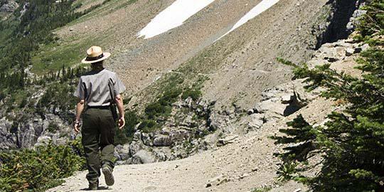 The U.S. Forest Service has awarded Codan Radio Communications a $3.2 million order for MT-4E repeater systems. 