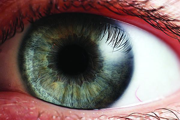 Increased use of iris recognition has spawned a host of deceptive countermeasures. A new technique promises to detect these masking efforts. (Photo: Petr Novak, Wikipedia)