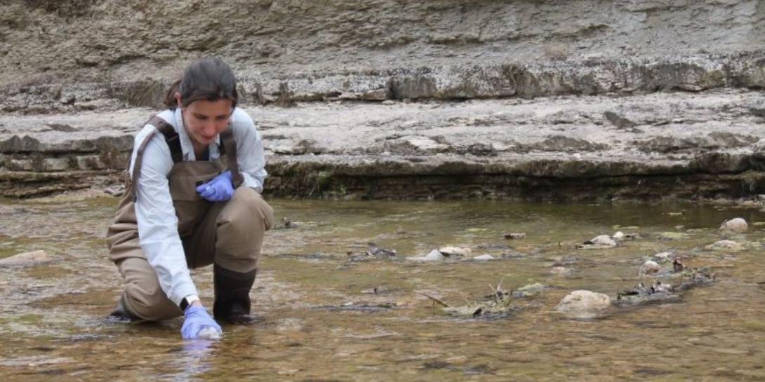 An expert collects a sample of surface water on an Army installation in Texas to test for DNA of endangered species. This avoids having to interact with the species, which aids in Army efforts at preservation. Researchers with the National Defense Center for Energy and Environment, which is run by the U.S. Army Environmental Command, have helped develop alternatives to materials that are harmful to the environment. One such effort demonstrated that citric acid could replace nitric acid in industrial process