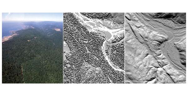 A forest is seen with greater detail when LiDAR technology is used (c, r) instead of aerial photography. LiDAR generates simultaneous digital surface maps of a forest canopy, vertical foliage profiles and ground topography, or digital elevation, maps. Objects in a smoke-filled room might be impossible to see with the naked eye (l) but visible using LiDAR range-gated technology.