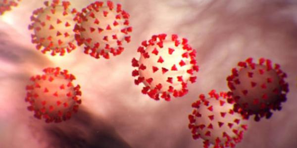 The Department of Homeland Security Science and Technology Directorate intends to hold a virtual industry day next week seeking solutions to help fight the COVID-19 pandemic. Photo credit: U.S. Army