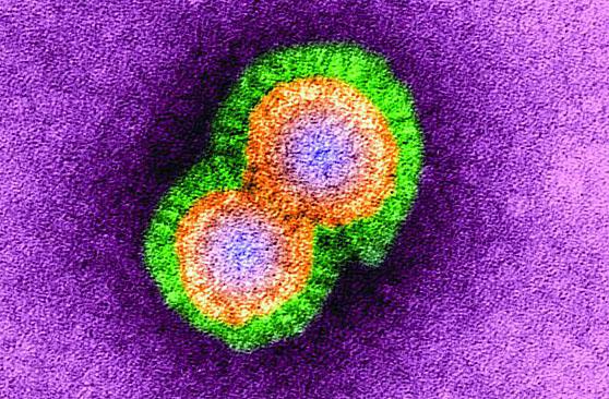 Open source data can be used to accurately foretell major disease outbreaks, including flu.