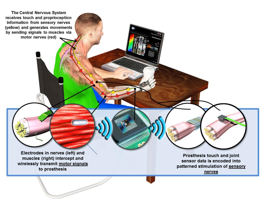 DARPA unveiled Wednesday its intention to launch the Hand Proprioception and Touch Interfaces (HAPTIX) program, which could give prosthetic limbs a sense of feeling. 