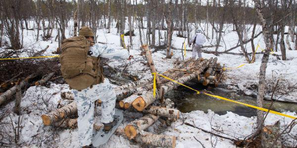 U.S. Marines participating in the Thunder Reindeer exercise in Setermoen, Norway in late May practice their cold weather survival skills while living in the Arctic. Credit: USMC photo by Lance Cpl. Chase Drayer