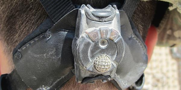 The Defense Advanced Research Projects Agency (DARPA) and the Rochester Institute of Technology developed the blast gauge, a small device that can measure blast exposure and cue medics for initial response.