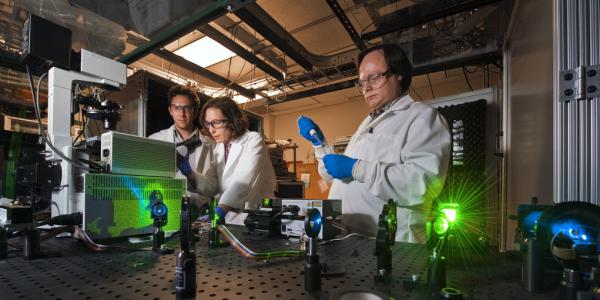 Sandia researchers work with new imaging techniques to view cell-level activity with unprecedented detail. (By Randy Montoya) 