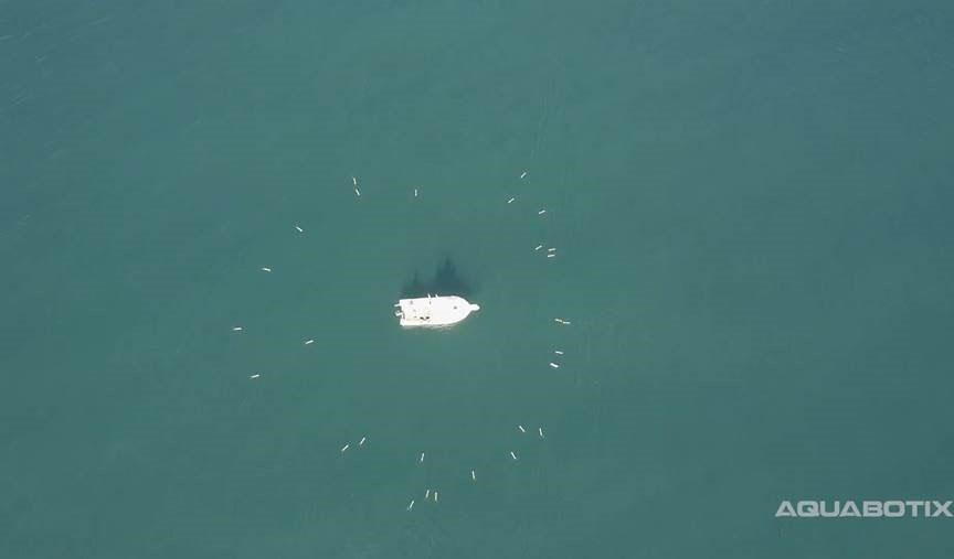 Swarming and diving micro aquatic robots may offer the Navy and other services key capabilities. Photo credit: Aquabotix