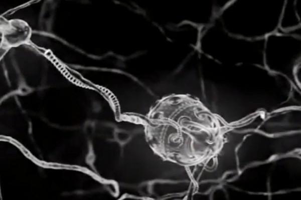 This illustration depicts a conceptual representation of nanorobotics creating an avatar./ Photo courtesy Gregory Carpenter