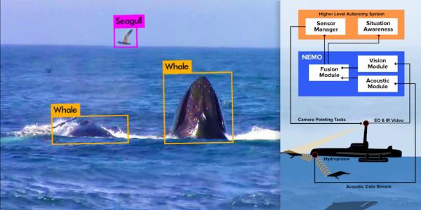 DARPA’s contract with Charles River Analytics will further develop an advanced marine mammal detection system. Credit: Charles River Analytics