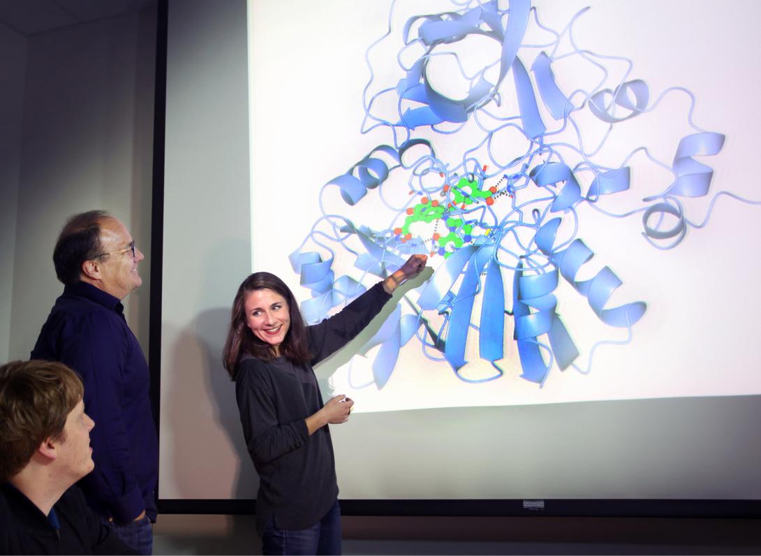 Sandia National Laboratories researchers Matthew Mills and Ken Sale, standing, look on as researcher Amanda Kohler points toward a model of LigM, an enzyme whose structure they have solved. Photo by Dino Vournas