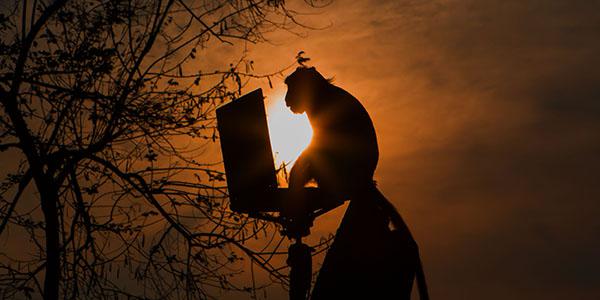 Netflix’s Simian Army of software production tools offers a potential model for the Defense Department to mimic. Credit: Wiratchai wansamngam/Shutterstock