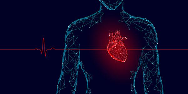 Sandia National Laboratories is pursuing a heartbeat-based technology for a security application. Credit: Shutterstock/LuckyStep