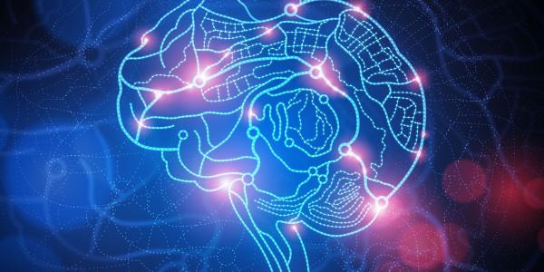 Using traditional processes for manufacturing silicon chips, researchers can fabricate 1 million nanosized robots on a single chip. The robots may one day crawl around inside the body to collect data on the brain or the spinal column. Shutterstock/solarseven