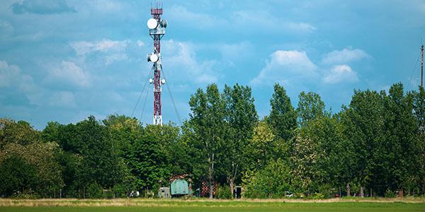 A communications tower for military 5G rises above a forest. Several challenges loom as the U.S. Defense Department strives to implement 5G into the force. Credit: M.Moira/Shutterstock