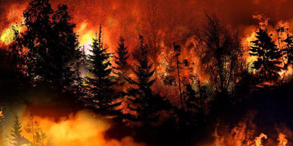 Developed for the Defense Innovation Unit, the xBD data set combines advanced algorithms and satellite imagery to help assess the damage from catastrophes, including from California wildfires.  Credit: Shutterstock/stockpexel