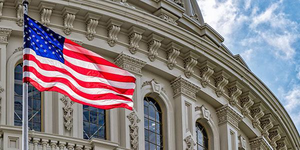  U.S. House of Representatives Committee on Homeland Security takes a closer look at how the government is using biometrics in protecting the nation. Credit: Shutterstock/Andrea Izzotti